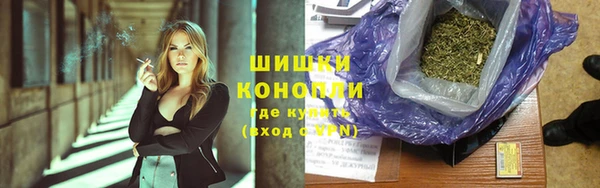 прущие грибы Армянск