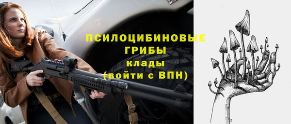 соль ск Аркадак