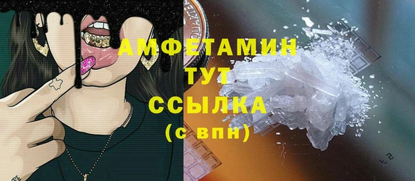 прущие грибы Армянск