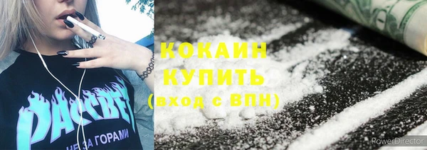 прущие грибы Армянск