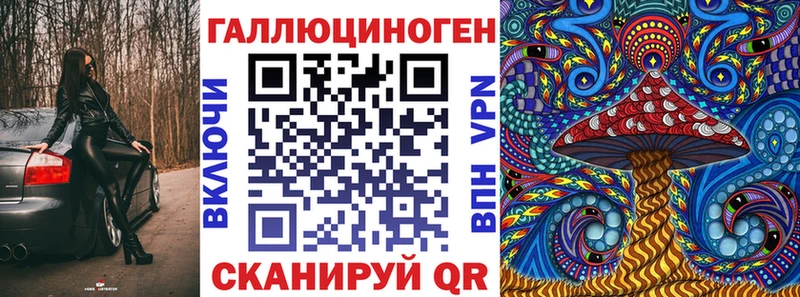 Купить  Богучар  Псилоцибиновые грибы Psilocybe 